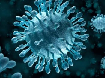 Che cos’è l’influenza?  perché si verifica nei mesi invernali ???