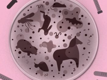 Microorganismi: come compiono il salto di specie?