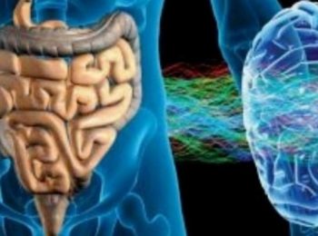 Depressione e microbiota intestinale: correlazioni per nuovi bersagli farmacologici 