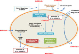 Mutational drug resistance 