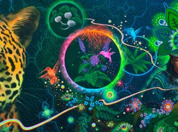 Sapete che cos’è l’Ayahuasca?