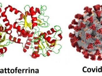 Lattoferrina e Covid19: cosa c’è di vero e cosa c’è di falso?