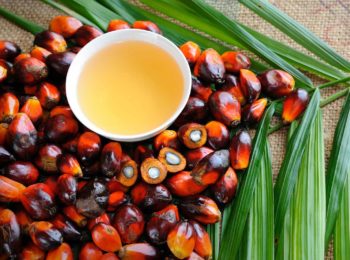 L’olio di palma