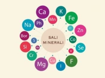 Sali minerali: cosa sono e perché sono importanti
