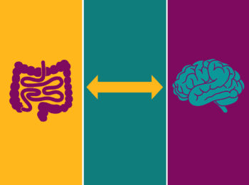 Psicobiotici: la felicità che parte dall’intestino