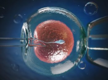 Cos’è la Procreazione Medicamentosa Assistita? (PMA)