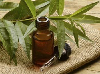 TEA TREE OIL: ANTICHI E ODIERNI USI