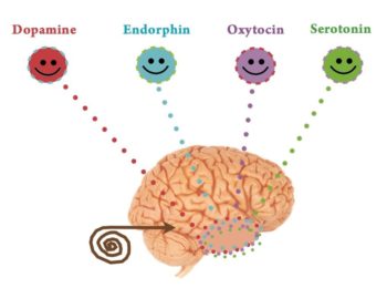 Gli ormoni della felicità