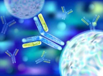 Altre frontiere terapeutiche: le Immunoglobuline Umane
