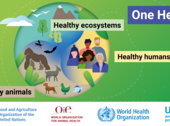 Approccio ONE HEALTH: una salute globale per uomo, animali e ambiente